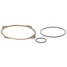 KJ30015 GASKET KIT | RICO Europe