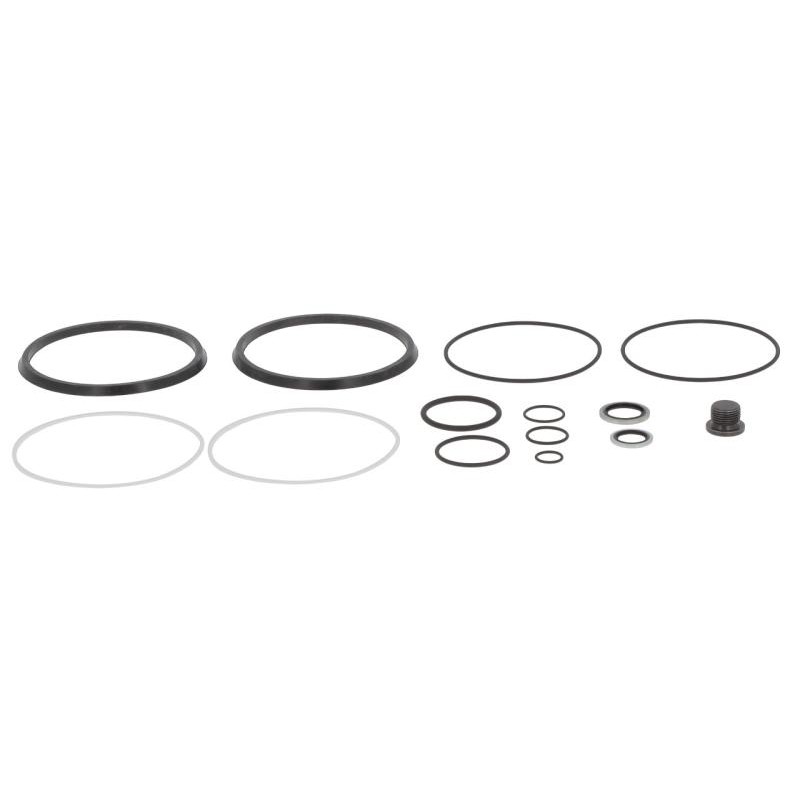 KJ30017V GASKET KIT | RICO Europe