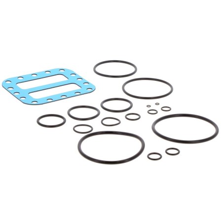 KJ61008 GASKET KIT | RICO Europe