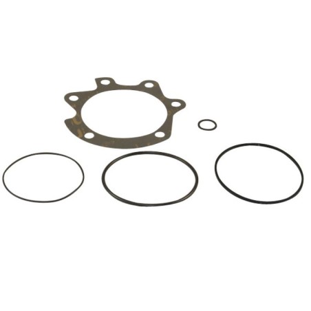 KJ66076V GASKET KIT | RICO Europe