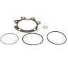 KJ66076V GASKET KIT | RICO Europe