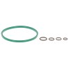KJ87021 GASKET KIT | RICO Europe