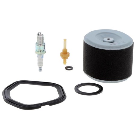 KM43000002A29 MAINTENANCE KIT 300 H | RICO Europe