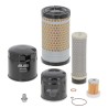 KM45000297A75 MAINTENANCE KIT 500 H | RICO Europe