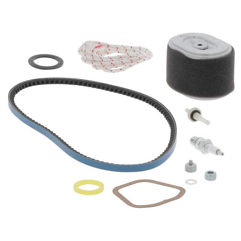 KM95000157A29 MAINTENANCE KIT 500 H | RICO Europe