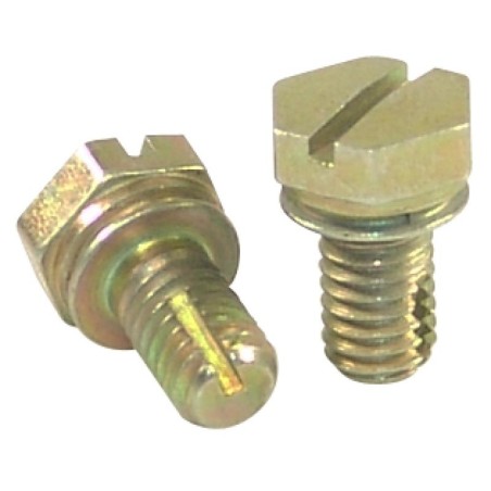 MO6773 DRAIN PLUG M6X1 | RICO Europe