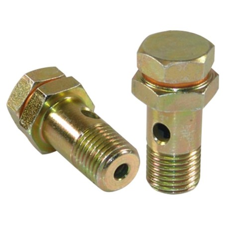 MO6846 BANJO BOLT M14X1.5 | RICO Europe