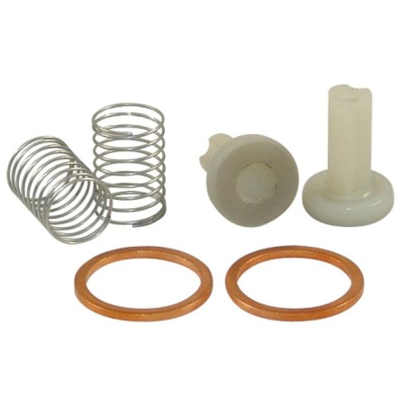 MO9311 VALVE FOR HAND PUMP | RICO Europe