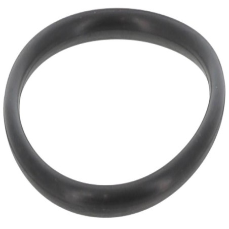 ORTBFBE01 GASKET | RICO Europe