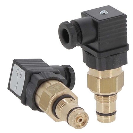 RCA218MZ097Z CLOGGING INDICATOR | RICO Europe