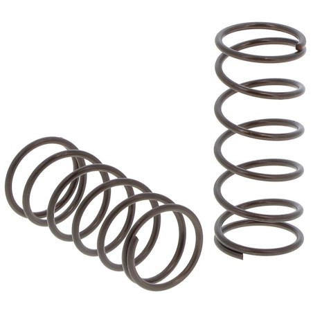 RES630250 SPRING | RICO Europe