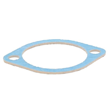 S714 GASKET | RICO Europe