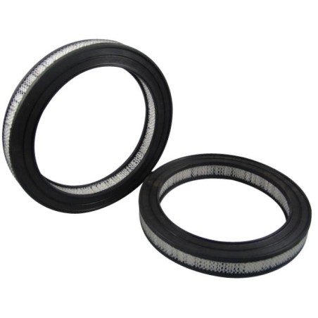 SA16098 AIR FILTER | RICO Europe