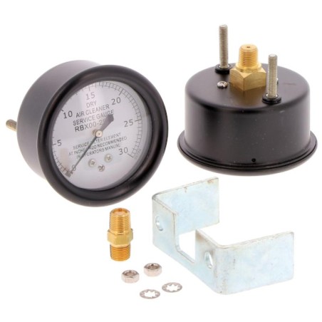 SAIN01MM011A01 CLOGGING INDICATOR | RICO Europe