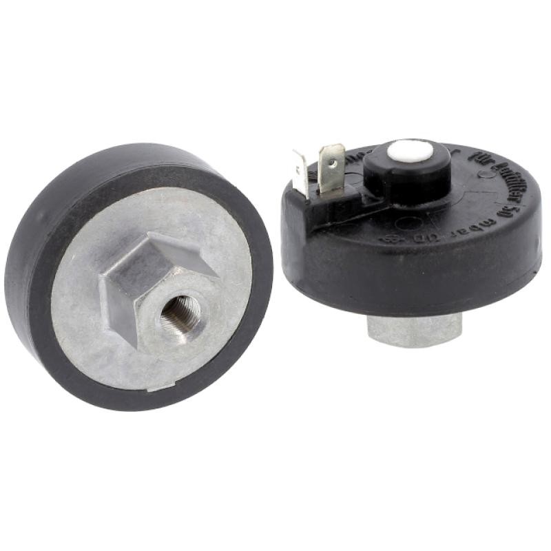 SAIN02EF045004 CLOGGING INDICATOR | RICO Europe