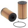 Hifi SN25119 FUEL FILTER
