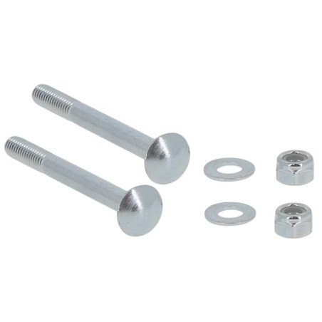 YRK11838 SCREW | RICO Europe