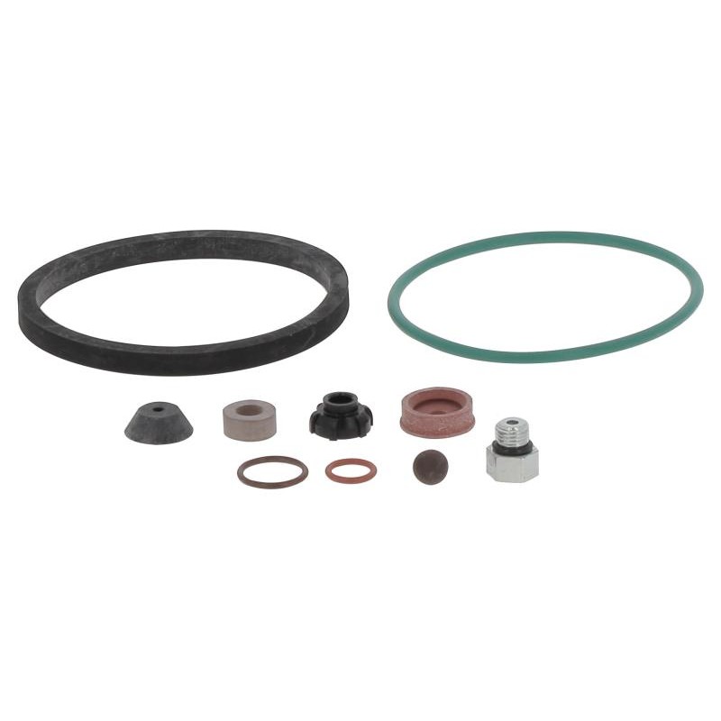 YRK20075-01 GASKET KIT | RICO Europe