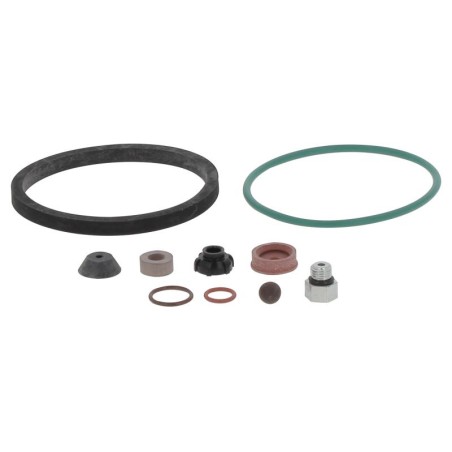 YRK20075-01 GASKET KIT | RICO Europe
