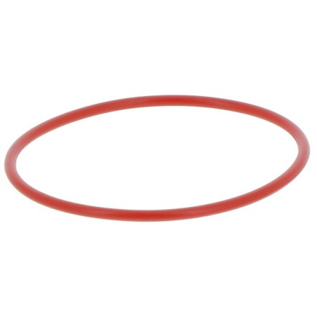 YRK30076 BOWL GASKET | RICO Europe