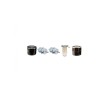 KUBOTA F 1900E Filter Service Kit w/Kubota Eng.