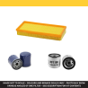 LOMBARDINI LDW 1404 Filter Service Kit