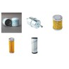 CLUB CAR 294 CARRY ALL Filter Service Kit with Kubota D722 Eng