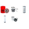 CMV FOREUSE Filter Service Kit with Motori Vm Eng