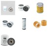 COMPAIR-HOLMAN C 20 P Filter Service Kit with  Perkins 103-10 Eng P7023P