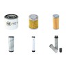 AMMANN ARX 16 Filter Service Kit w/Yanmar 3TNV76P Eng.   YR  2013