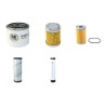 AMMANN AV 26 E Filter Service Kit withYanmar 3Tne88 Eng 2003-