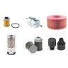 AMMANN AVH 6020/DE Filter Service Kit w/HATZ 1D81S Eng.