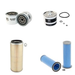 DAVID BROWN 1194 Filter Service Kit
