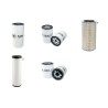 DEHONT ARRACHEUSE A LIN Filter Service Kit w/Deutz  Eng.      GD