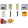 DEMAG H 95 Filter Service Kit w/Cummins KTA19C Eng.