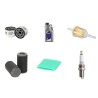 Filter Kit for John Deere D120/LA125/LG262 with Briggs & Stratton V-Twin 21 HP Engine