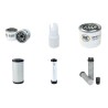 AMMANN RX 26 Filter Service Kit w/Yanmar 3TNT88 Eng.