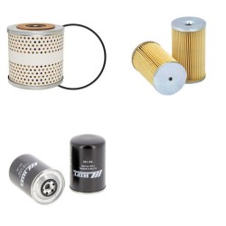 DEUTZ F 3 L 812 Filter Service Kit