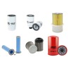 DIECI 33.11 ZEUS Filter Service Kit w/CNH  Eng.