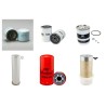 New Holland  L885, LX885 Filter Service Kit