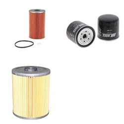 EICHER 4 D 31 Filter Service Kit