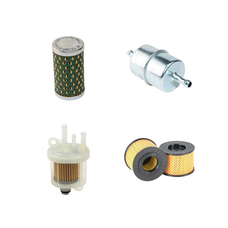 EISEMANN HDGC 3.8 Filter Service Kit w/Hatz 1B30 Eng.