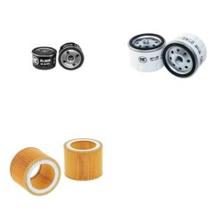 ETESIA HYDRO 100D Filter Service Kit w/Lombardini Eng. Air,