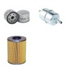 FARYMANN 15 D 430 Filter Service Kit Air Oil Fuel Filters