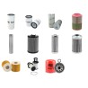 FAUN-FRISCH FR 1035 LC Filter Service Kit w/Deutz  Eng.