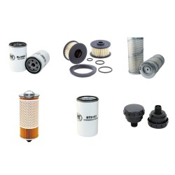 FENWICK 351 T Filter Service Kit w/Deutz  Eng.