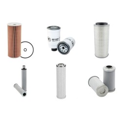 FENWICK H 50 Filter Service Kit w/VW  Eng.