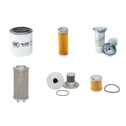 Filter Kit For Hitachi EX 25-2 Filter Service Kit with Kubota D1105B Engine