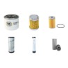 FIAT KOBELCO E 45 SR Filter Service Kit w/Yanmar Eng. 03-