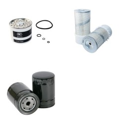 ASEA FORKLIFT Filter Service Kit